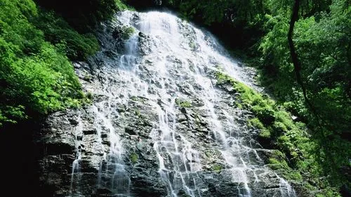 电子高精度